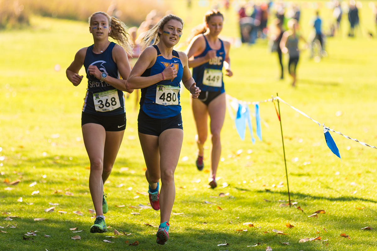 Runners Shine at the BC Cross Country Championships! Valley Royals